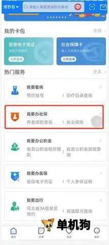 河北政务服务网(河北政务服务软件) 河北政务服务网(河北政务服务软件)