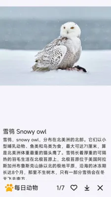 ÿ�ն���(�������APP)v1.0.0 ��Ѱ��ͼ