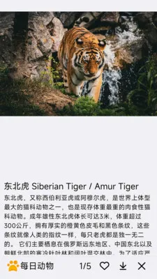 ÿ�ն���(�������APP)v1.0.0 ��Ѱ��ͼ