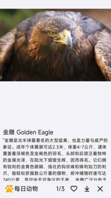 ÿ�ն���(�������APP)v1.0.0 ��Ѱ��ͼ