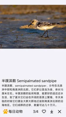 ÿ�ն���(�������APP)v1.0.0 ��Ѱ��ͼ