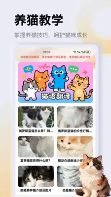 ����è��app2026���°汾v1.3 �ֻ����ͼ