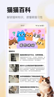 ����è��app2026���°汾v1.3 �ֻ����ͼ