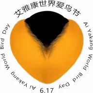 ��������׿���ֻ���v1.0.0 ��׿��