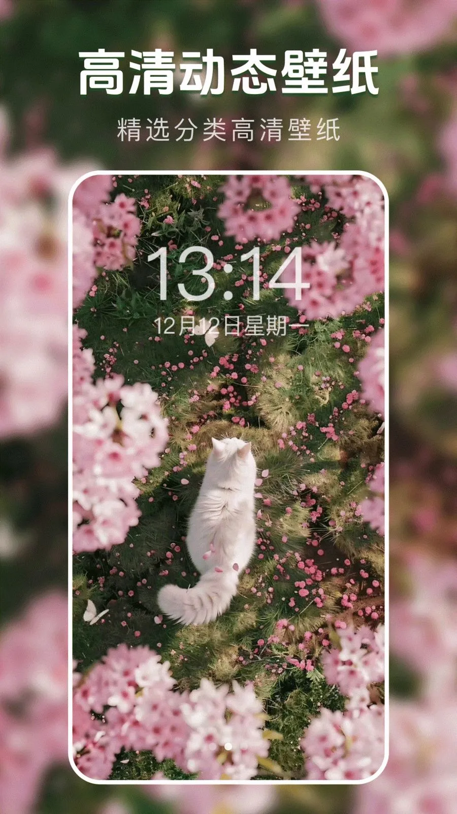 ��̬�����ֽ��(��ֽ����Ӧ��)v1.0.0 ��Ѱ��ͼ