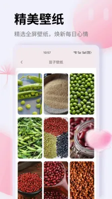 K��(����滮Ӧ��)v1.0.0 ��׿���ͼ