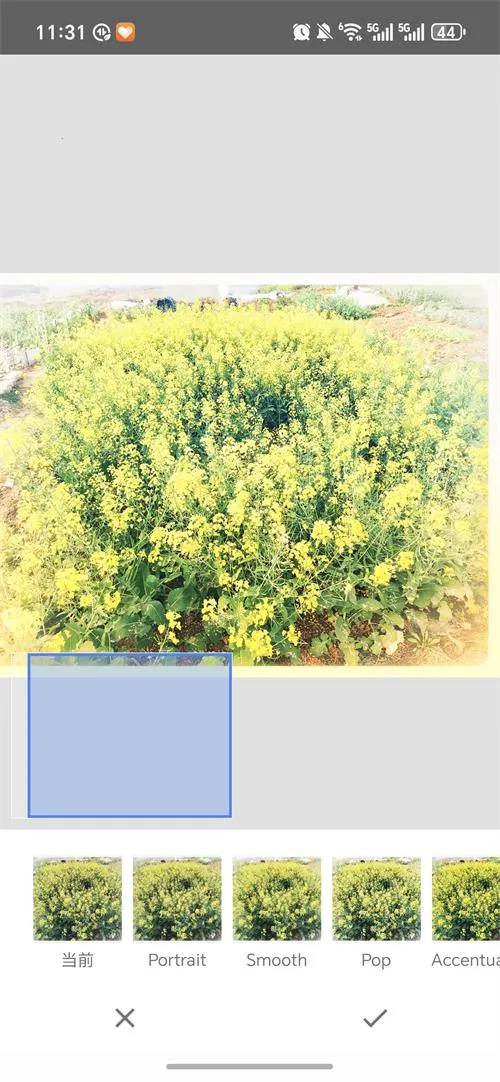 BetterSeed(רҵ��ͼ����)v2.22.0.633363672 �ٷ������ͼ
