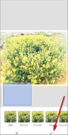 BetterSeed(专业修图工具)