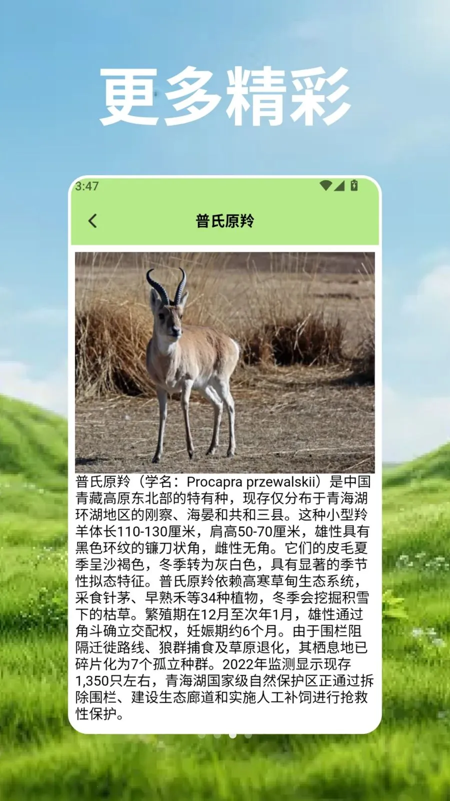 ��Ⱥ�Ŀ�ѧ��(����֪ʶӦ��)v2.3 �ֻ����ͼ