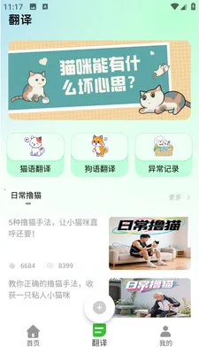 PEPPYCATè��ռ�2026���°汾v2.0.0 ��Ѱ��ͼ