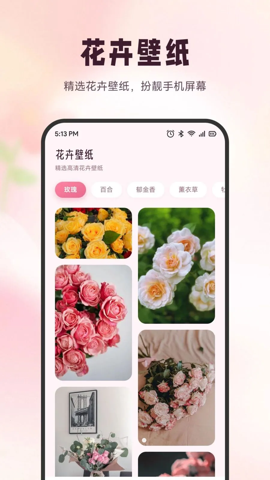 ѩ�ڻ���(ʶ����������)v1.6 ��׿���ͼ